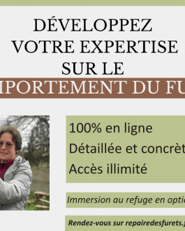 Détecter les troubles du comportement du furet